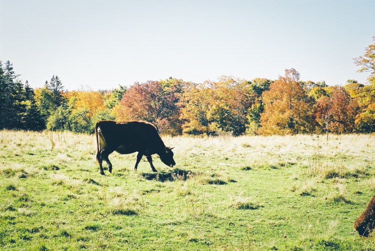 decfilmdumplightroom-3