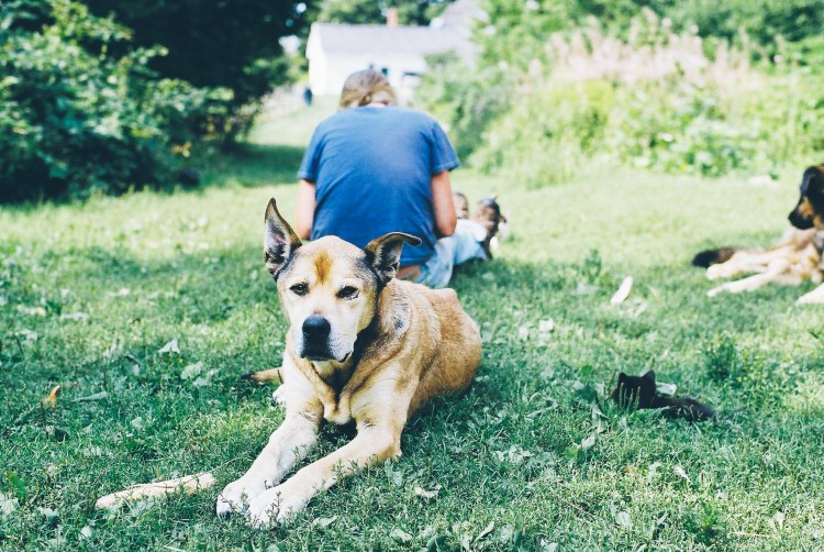 decfilmdumplightroom-85