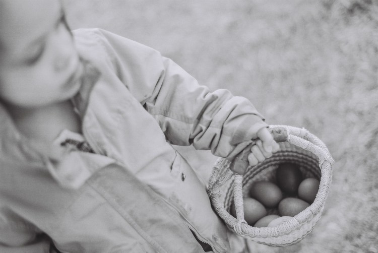 blackandwhitespring-34